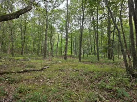 75 Far View Rd, Hope Twp, NJ 07838