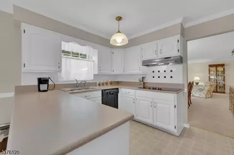 3 Sandpiper Dr, Hackettstown, NJ 07840 photo 11