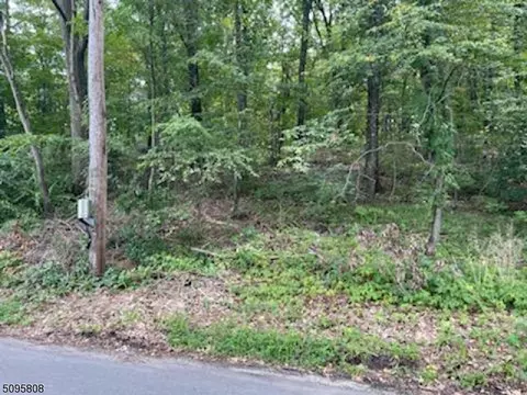 272 Lakeview Dr, Hampton Twp, NJ 07860