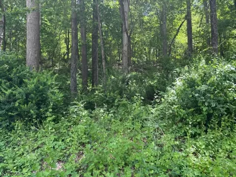 175 Lower Oak Grove Rd, Franklin Twp, NJ 08825