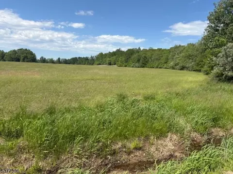 115 Lower Oak Grove Rd, Kingwood Twp, NJ 08867