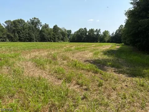 144 Lower Oak Grove Rd, Kingwood Twp, NJ 08825