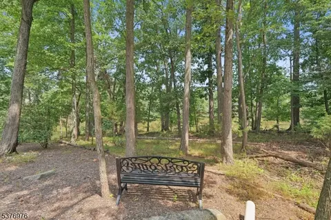 905 S Branch Dr, Whitehouse Station, NJ 08889