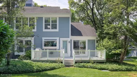 11 Lockhaven Ct, Bedminster, NJ 07921 photo 30