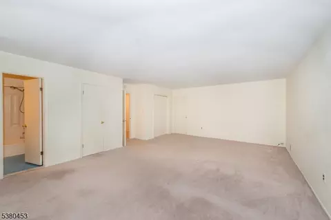 103 Park Ave #D4, Summit, NJ 07901 photo 21