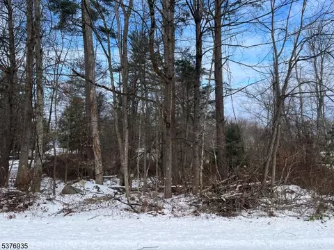 260 Old Chimney Ridge Rd, Montague Twp, NJ 07827
