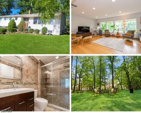 11 Shadowlawn Dr, Livingston, NJ 07039