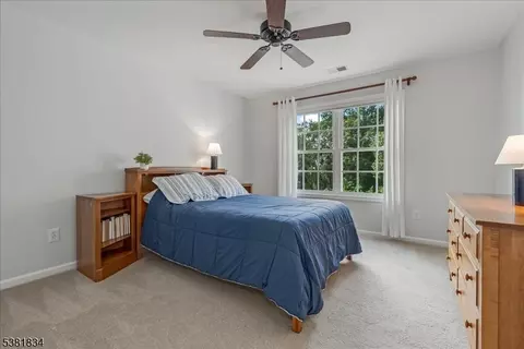 16 Setting Sun Dr, Hackettstown, NJ 07840 photo 33