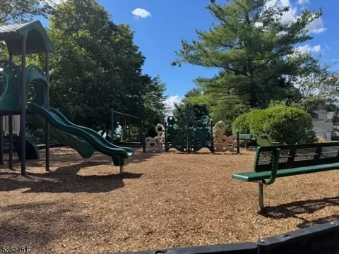 26 Hyde Ct, Bedminster, NJ 07921 photo 21