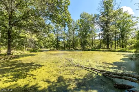 6 Hampton Rd, Pittstown, NJ 08867 photo 38