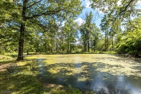6 Hampton Rd, Pittstown, NJ 08867 photo 40