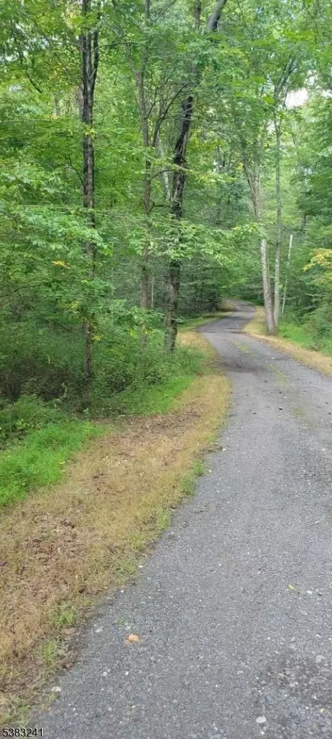 13 Ridge Rd, East Amwell Twp, NJ 08525