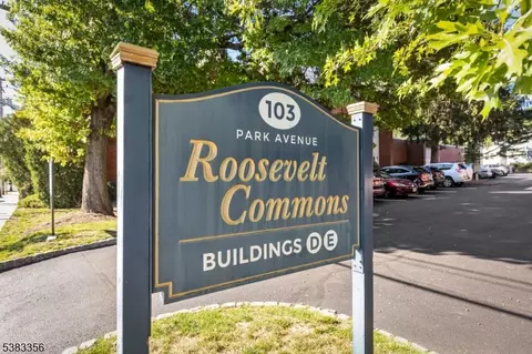 103 Park Ave #E201, Summit, NJ 07901 photo 27