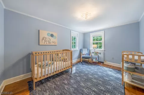 62 Beekman Rd, Summit, NJ 07901 photo 23