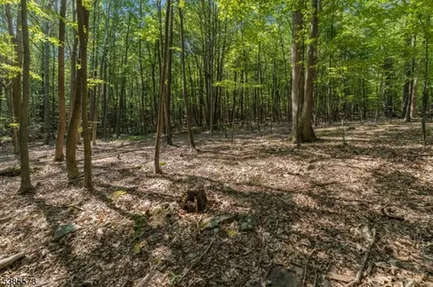 68 Sanatorium Rd, Glen Gardner Boro, NJ 08826