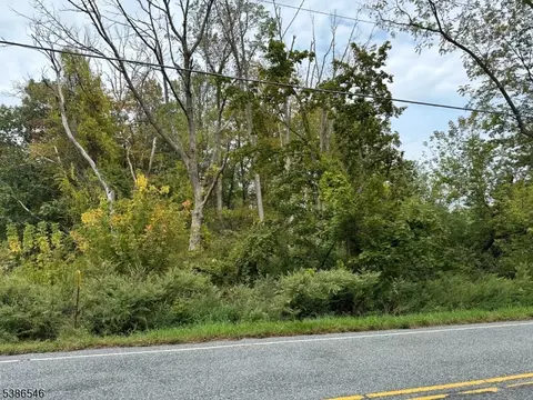 413 Mountain Lake Rd, Liberty Twp, NJ 07838