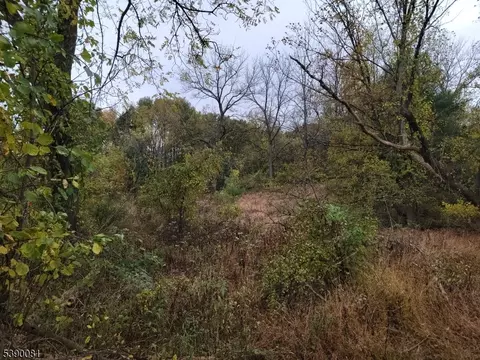 258 Clove Rd, Montague Twp, NJ 07827