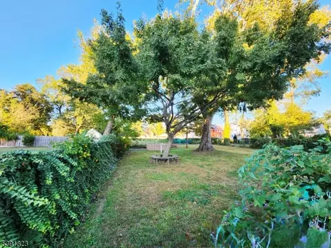 20-22 Albert St, Plainfield, NJ 07063 photo 16