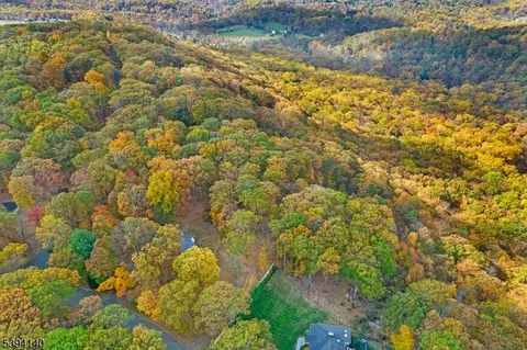 29 Ridge Rd, Tewksbury Twp, NJ 08833
