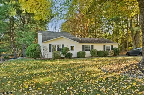 9 Carol Ct, Glen Gardner, NJ 08826