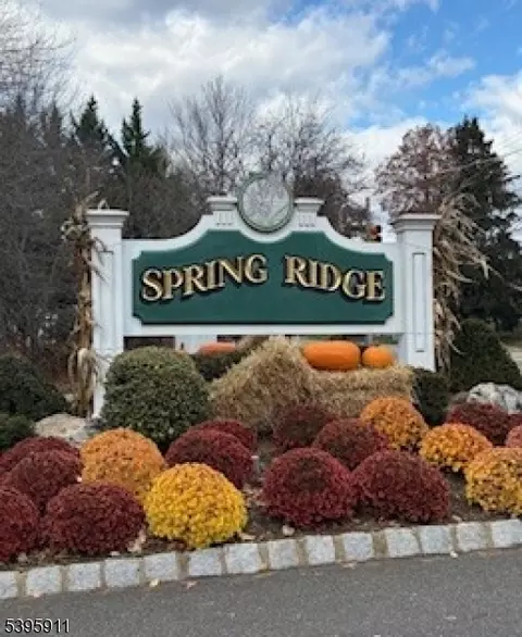 21 Alexandria Way, Basking Ridge, NJ 07920