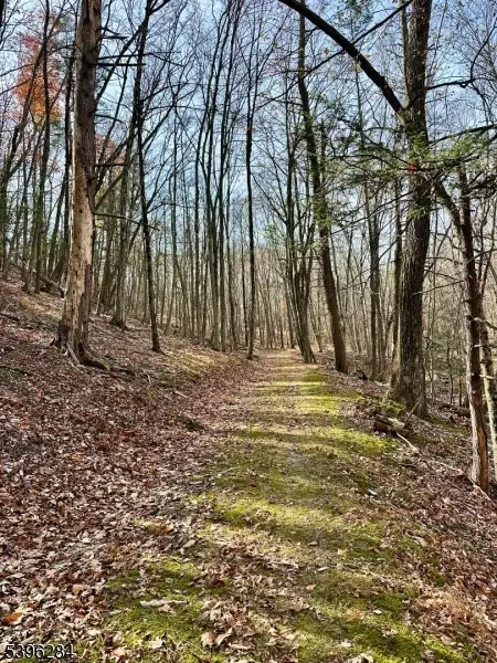 0 No Brook Lake Tr, Stillwater Twp, NJ 07860