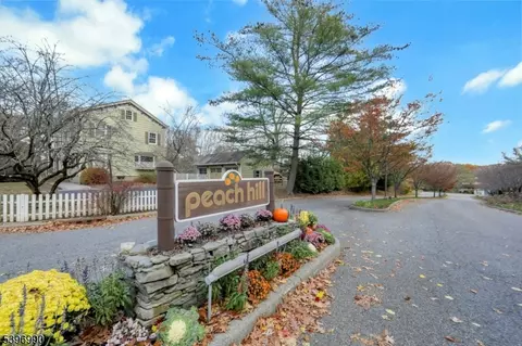 18 Peach Hill Ct, Ramsey, NJ 07446