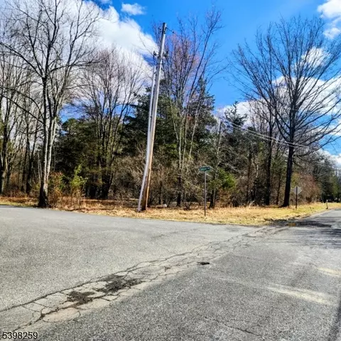 2 Shrope Ln, Kingwood Twp, NJ 08825
