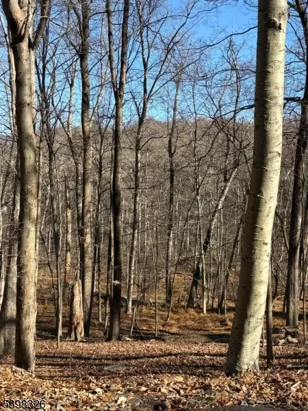 2 Kent Brook Ter, Kinnelon Boro, NJ 07405