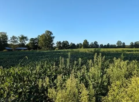 554-560 Oak Grove Rd, Kingwood Twp, NJ 08825