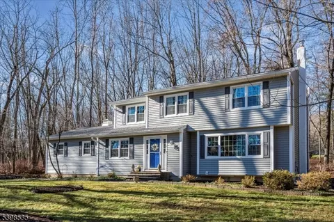 9 Shadetree Pl, Long Valley, NJ 07853