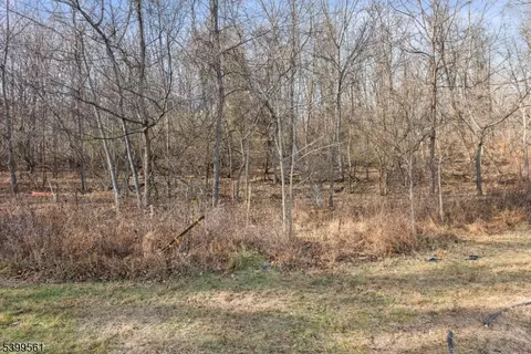 37 File Rd, Wantage, NJ 07461 photo 14