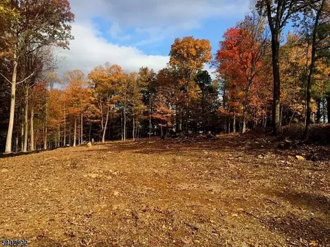 118 Old Stirling Rd, Warren Twp, NJ 07059