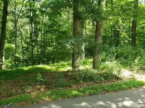 8 Cub Lake Rd, Byram Twp, NJ 07821