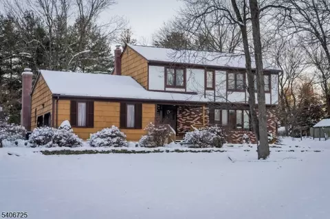 4 Hickory Ln, Whitehouse Station, NJ 08889
