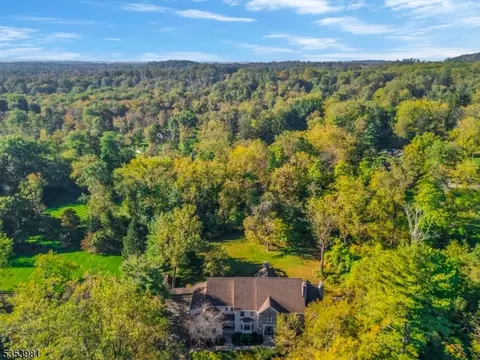 45 Butternut Ln, Basking Ridge, NJ 07920 photo 38