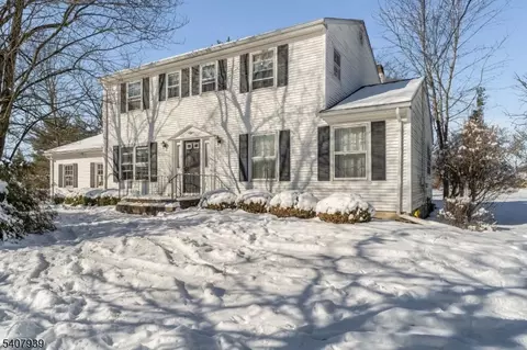 3 Meadow Lark Ct, Flemington, NJ 08822