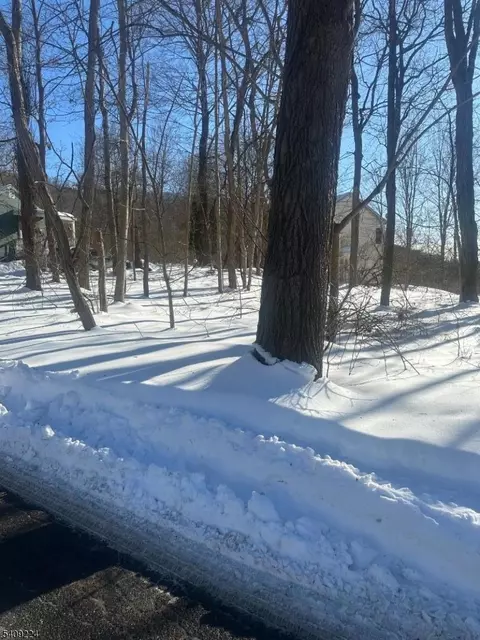2 Pine Dr, Liberty Twp, NJ 07823