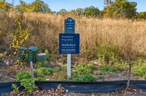 9 Bristol Ridge Rd, Boonton Twp, NJ 07005