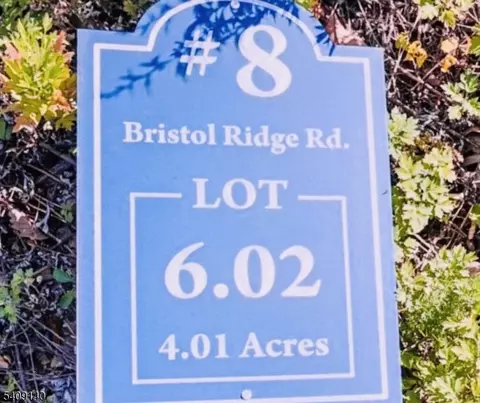 8 Bristol Ridge Rd, Boonton Twp, NJ 07005