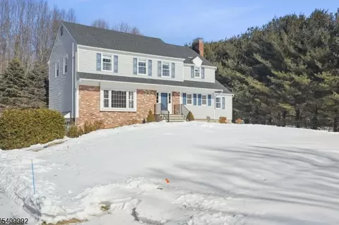 15 Fleming Ct, Long Valley, NJ 07853