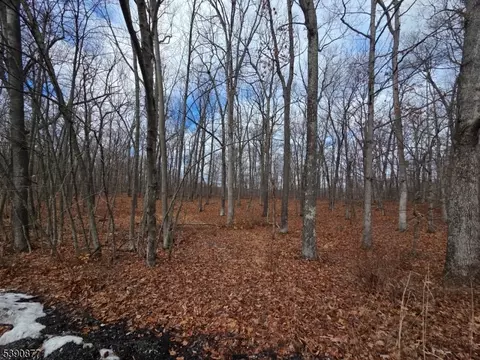 20 Fawn Run, Montague Twp, NJ 07827