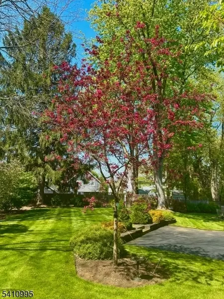 3 New St, Mendham, NJ 07945 photo 35