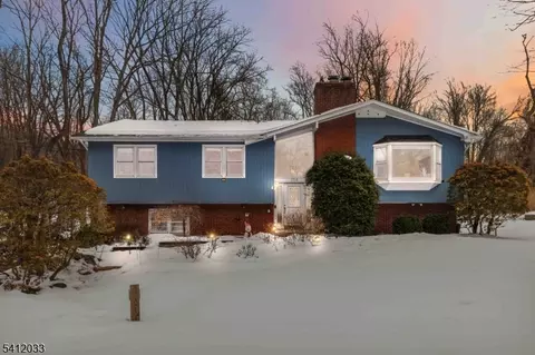 384 Millbrook Ave, Randolph, NJ 07869