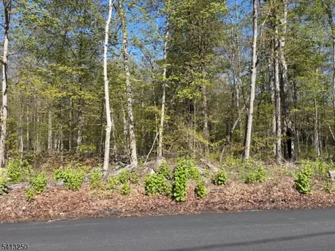 0 Schoolhouse Rd, Jefferson Twp, NJ 07438
