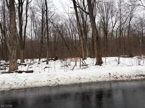 0 Schoolhouse Rd, Jefferson Twp, NJ 07438