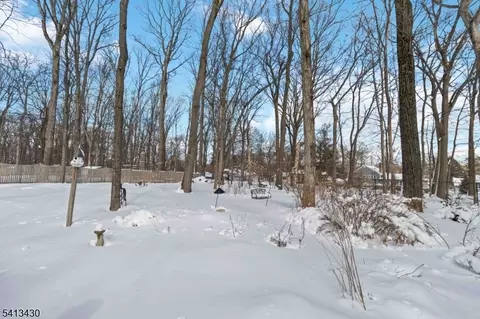 10 Forrest Rd, Randolph, NJ 07869 photo 33