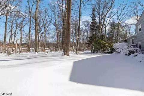 10 Forrest Rd, Randolph, NJ 07869 photo 35
