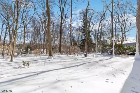 10 Forrest Rd, Randolph, NJ 07869 photo 34