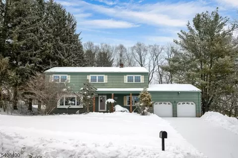 7 Manchester Dr, Whippany, NJ 07981